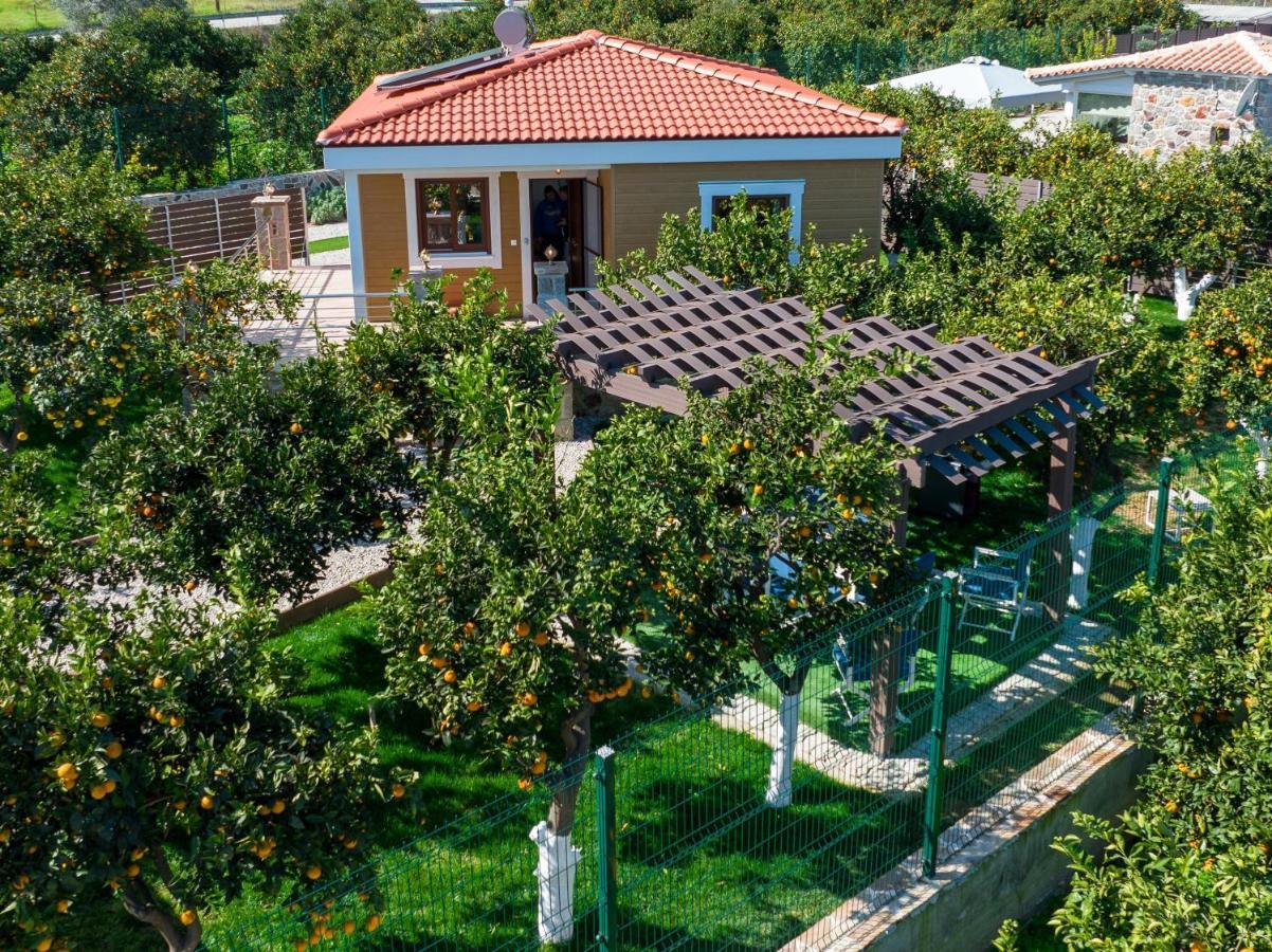 Epidaurus Desa Green Homes מראה חיצוני תמונה