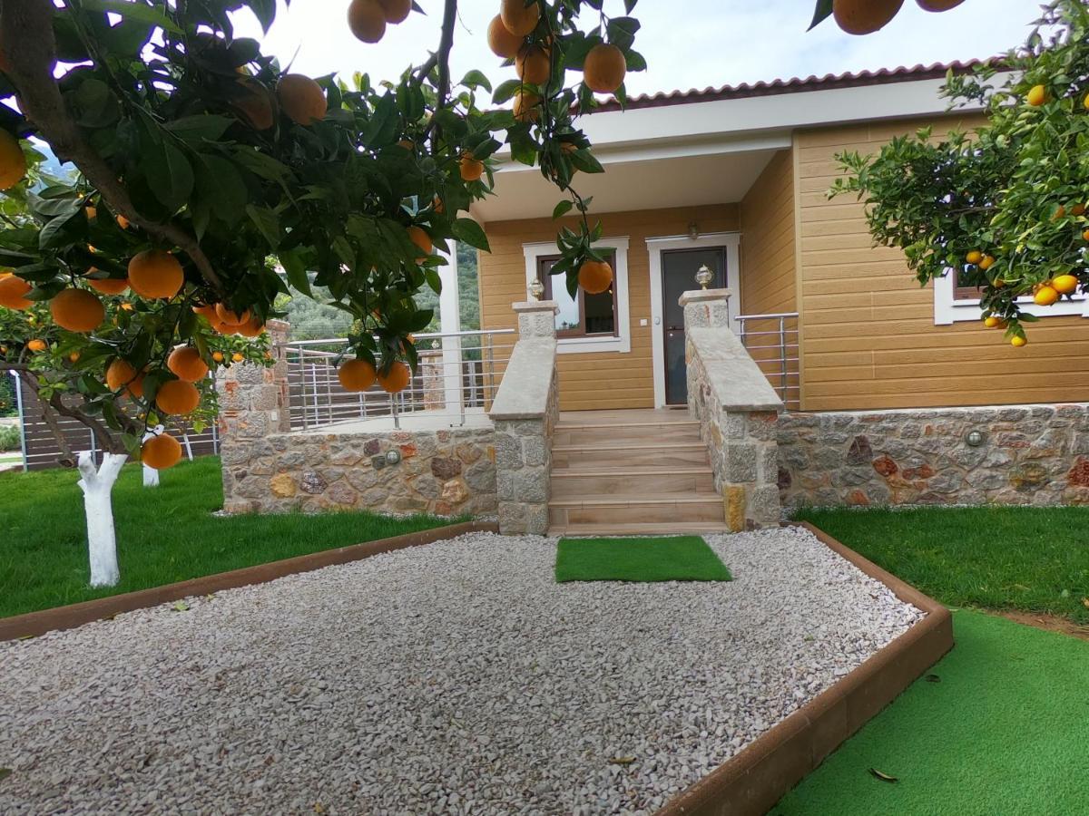 Epidaurus Desa Green Homes מראה חיצוני תמונה